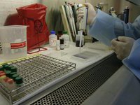 По Европе распространяются болезни, которые не берут антибиотики. 249644.jpeg