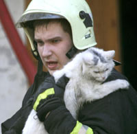 Не целуйте животных!