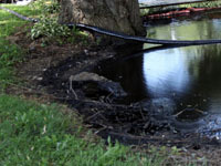 Под Рязанью из трубы вылилось 100 тонн нефти. 243668.jpeg