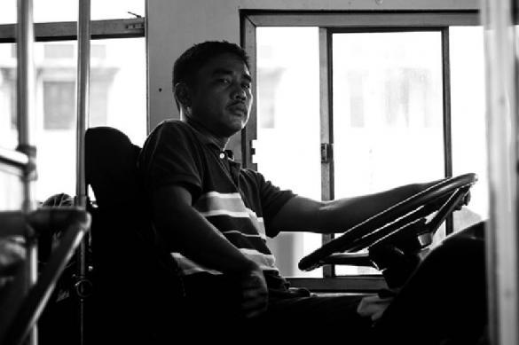 Перечислены самые распространенные профессии в России. 395676.jpeg