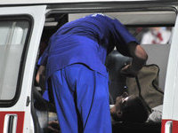 Тамбовские школьники отравились ядовитым растением. 245686.jpeg