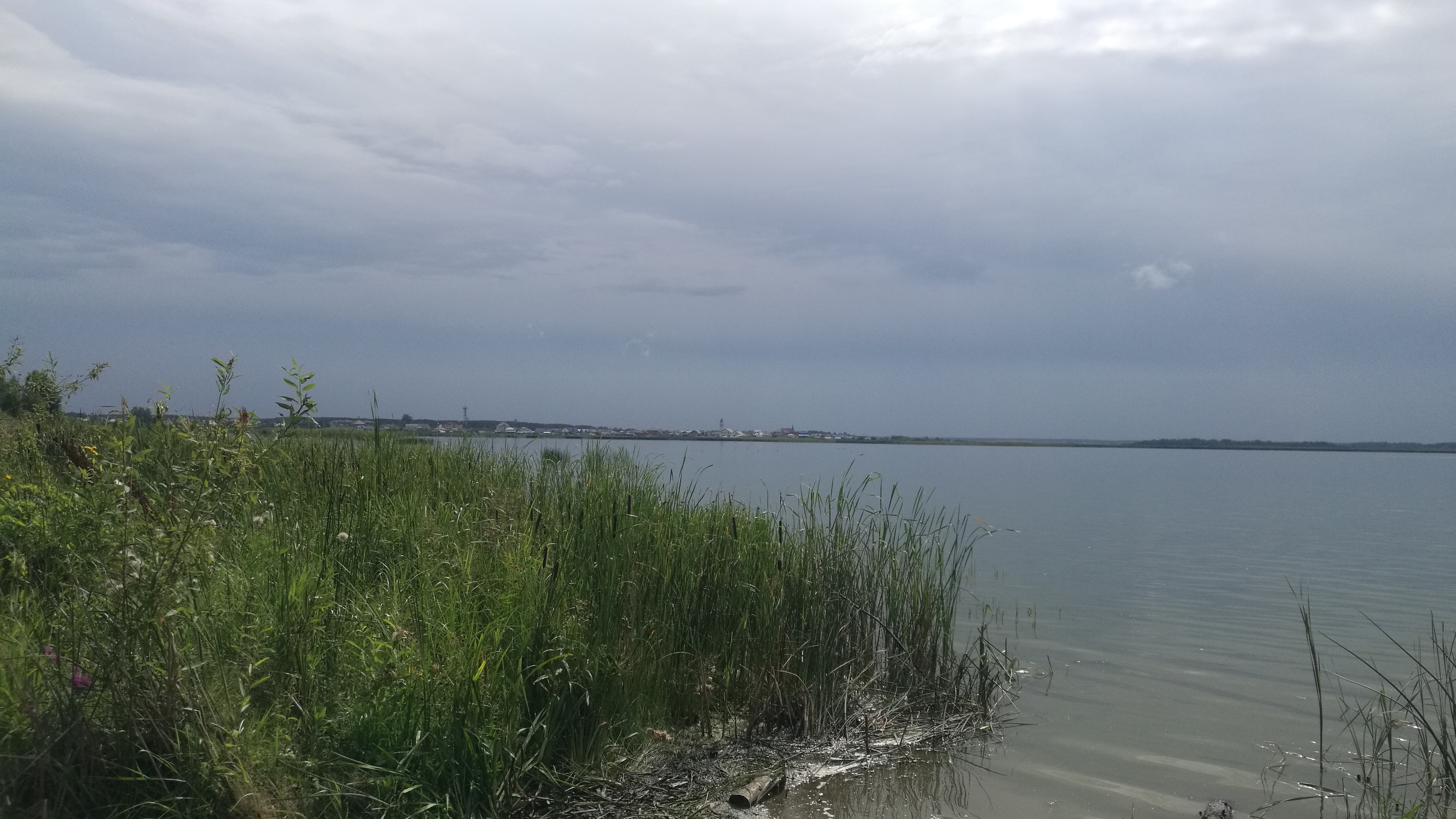 Тюменские учёные раскрыли тайны гаффской болезни и нейтрализовали токсин