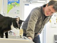 Британская пара преодолела тысячи километров ради бродячего кота