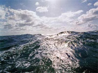 Новой Зеландии грозит цунами