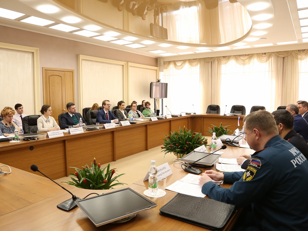 В Нижний Новгород во время ЧМ-2018 приедут более 4000 шведов. 384779.jpeg