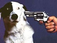 Американец застрелил своих собак, не зная, куда их деть на время