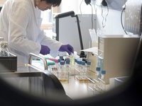 На смену животному желатину придет человеческий. 241844.jpeg