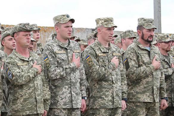 Украинские военные на Донбассе заставляют новичков выкупать у них карты минных полей. 393868.jpeg