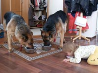 Родители отдали девочку на воспитание собакам и кошкам