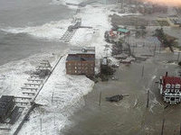 дерево. 273875.jpeg