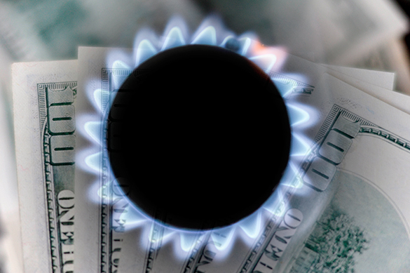 ЭКСПЕРТЫ. ЭКСПЕРТЫ