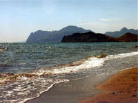 Коктебель оказался на грани экологической катастрофы