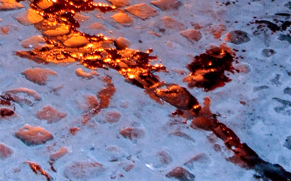 Ахмет Давутоглу: Турция разделяет боль армян в трагедии 1915 года. 317885.jpeg