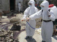 Вода в московской реке Сетуньке отравлена фенолом. 265887.jpeg