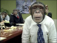 Интересное за неделю: обезьяну отправят покорять космос. 240992.jpeg