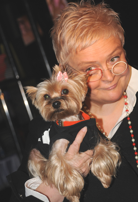 Почему российские звезды любят маленьких собак?