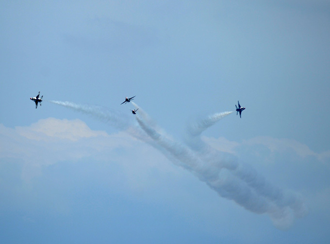 Птицы грома