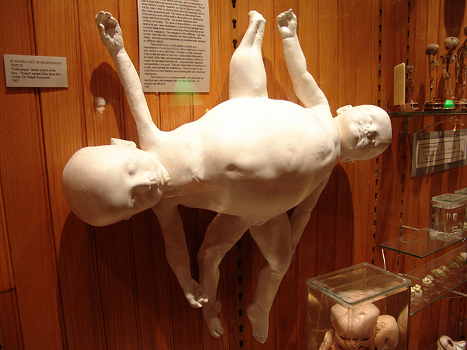 Музей не для слабонервных