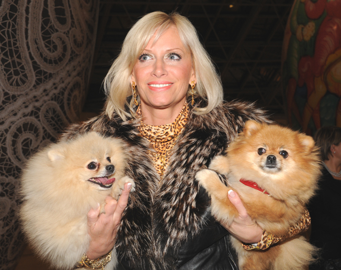 Почему российские звезды любят маленьких собак?