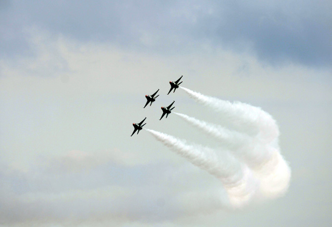 Птицы грома