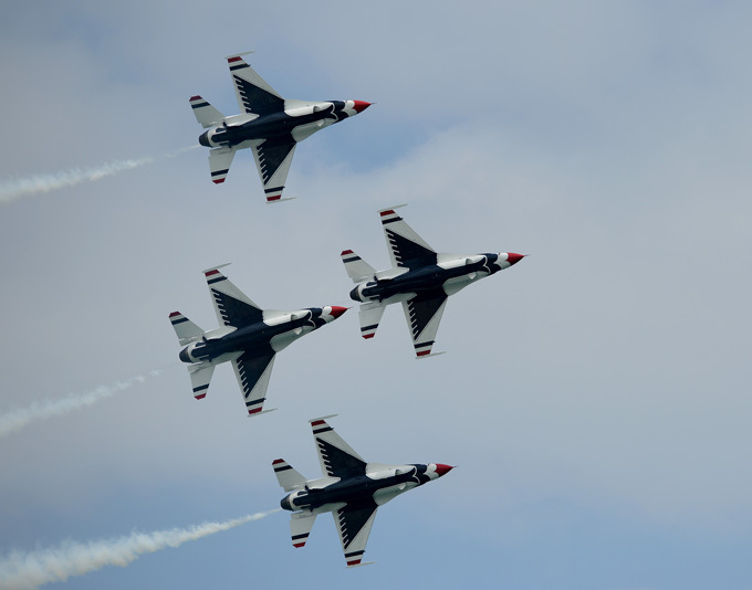 Птицы грома