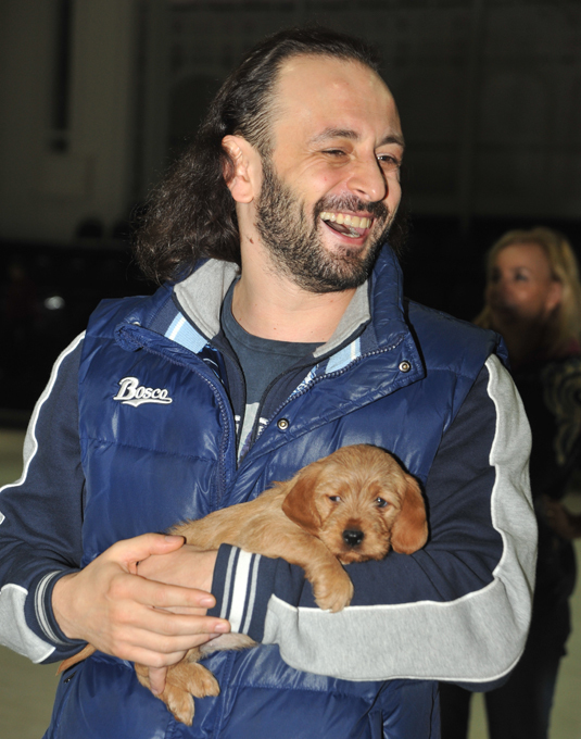 Почему российские звезды любят маленьких собак?