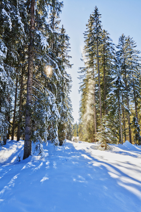 Что стряслось с русскими морозами?