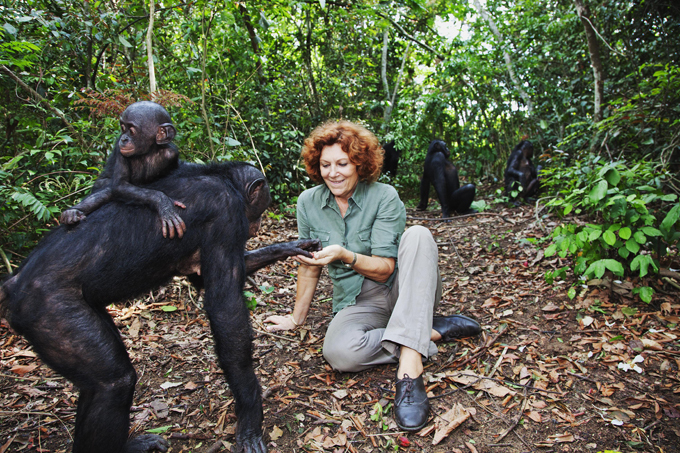 Обезьяний приют в Конго