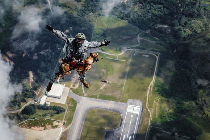 Летающий пес. Смелость