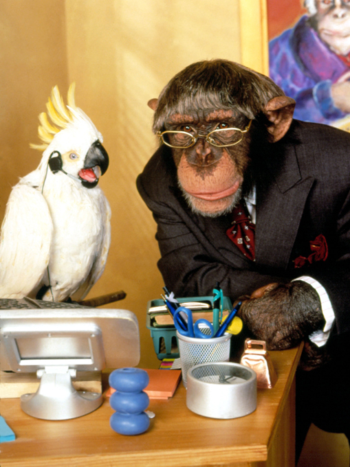 Полезные уроки от братьев наших меньших