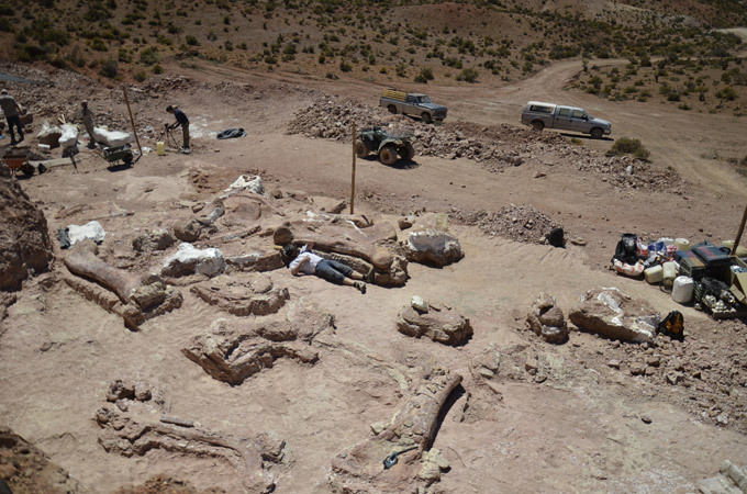 Он жил на берегу реки. - Найдены останки крупнейшего динозавра на планете