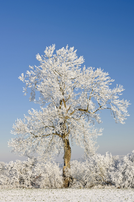 Ах ты, зимушка-зима!