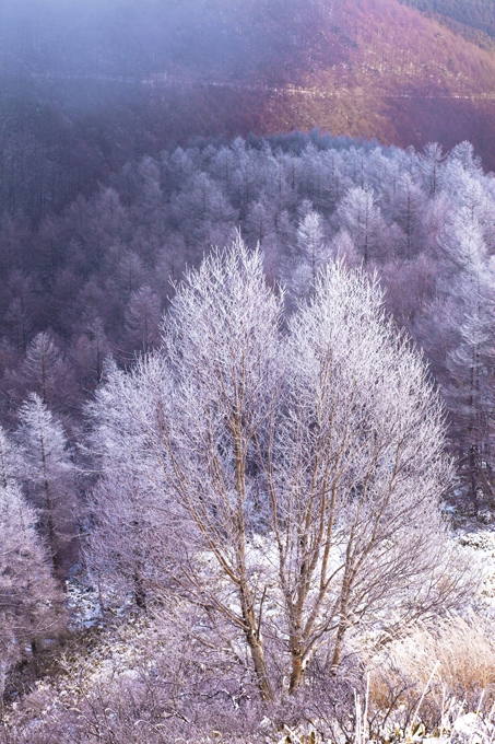 Ах ты, зимушка-зима!