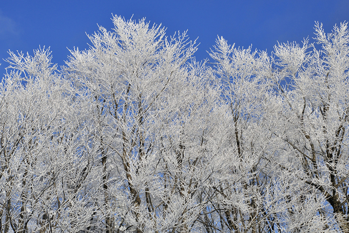 Ах ты, зимушка-зима!