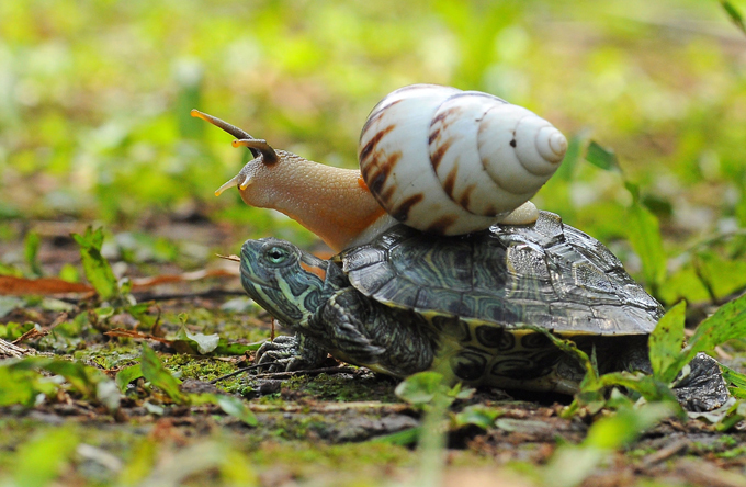 Новогодние истории. Улыбнитесь!