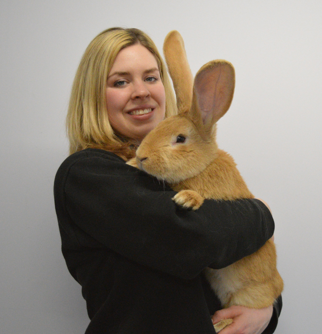 Новогодние истории. Улыбнитесь!