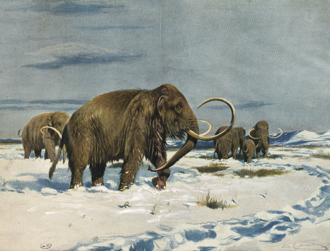 Тайна гибели мамонтов
