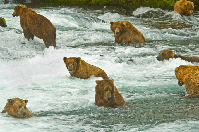 Короли рыбалки