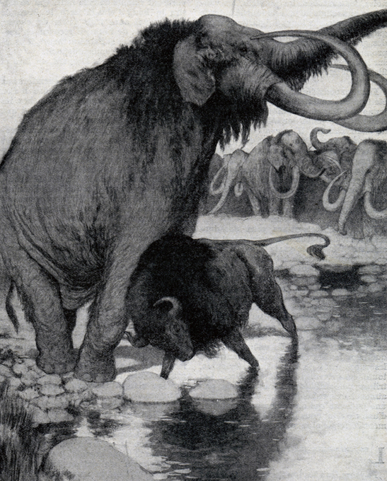 Тайна гибели мамонтов