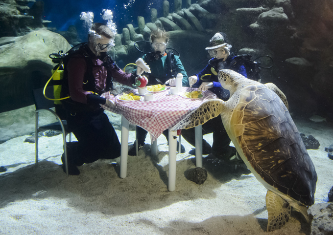 Непридуманные истории