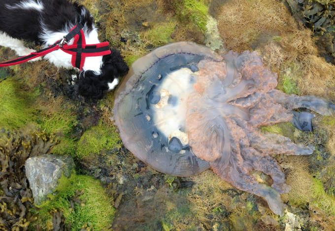 Непридуманные истории