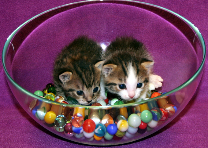 Непридуманные истории