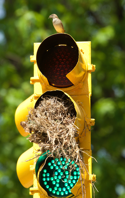 Непридуманные истории