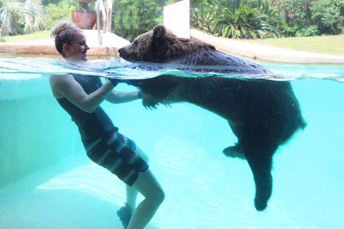 Жара, она везде жара!