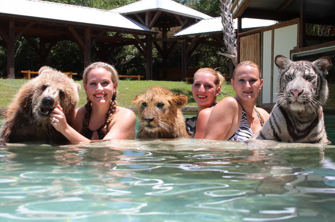 Жара, она везде жара!