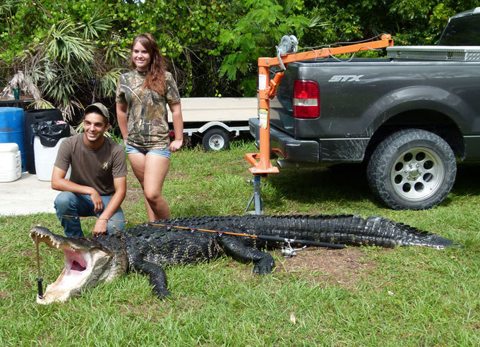 Ловись, крокодил, большой и маленький! Ну и ну!