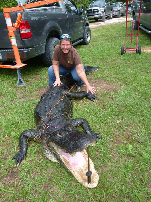 Ловись, крокодил, большой и маленький! Зубастая удача