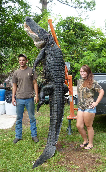 Ловись, крокодил, большой и маленький! Порыбачили...