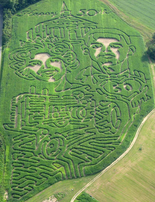 Каждый сходит с ума по-своему: но все в восторге