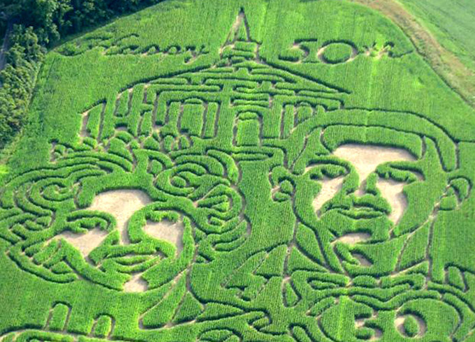 Каждый сходит с ума по-своему: но все в восторге